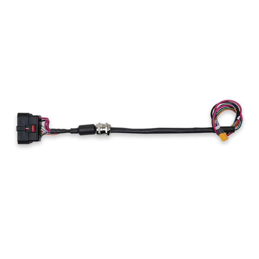 XR Main Cable Harness
